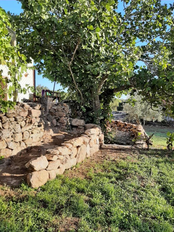 Magic Nature Lodge Marvão Kültér fotó