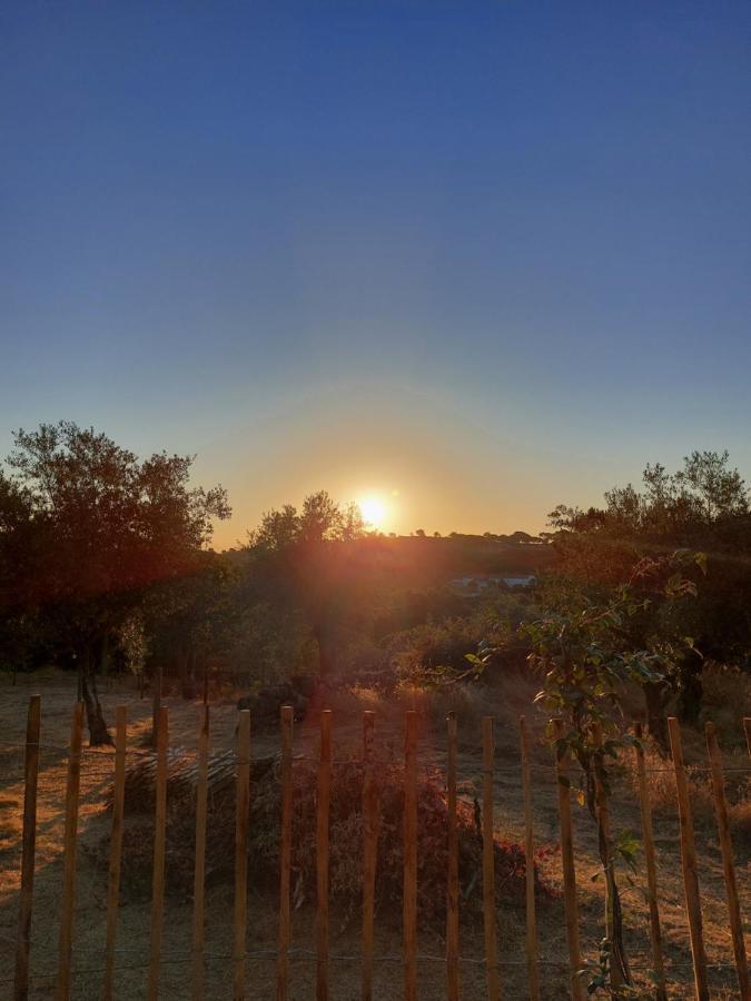 Magic Nature Lodge Marvão Kültér fotó