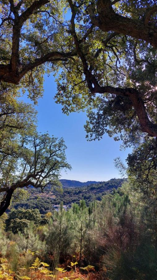 Magic Nature Lodge Marvão Kültér fotó